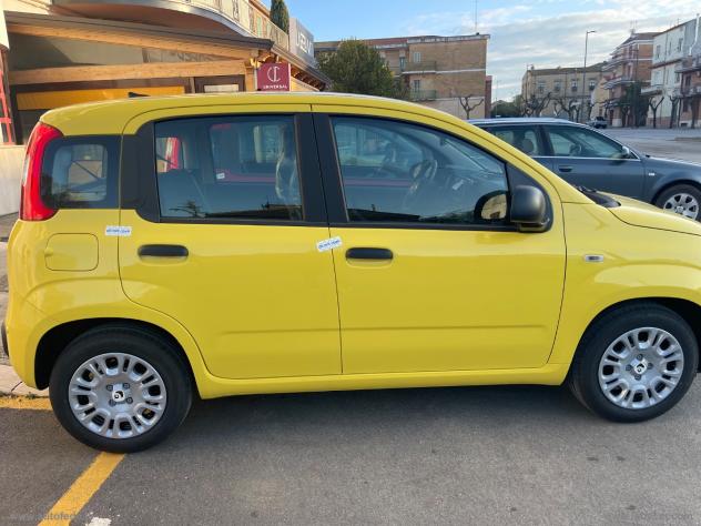 FIAT Panda 1.0 FireFly S&S Hybrid Pandina - Foto 10