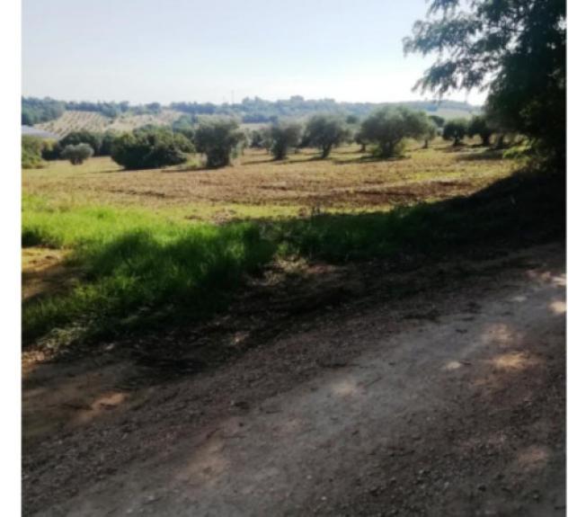 Immobile in asta di 48 m², box auto in vendita a Montecosaro - Foto 11