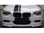 Griglia BMW F20 LOOK M1 LCI 11-15