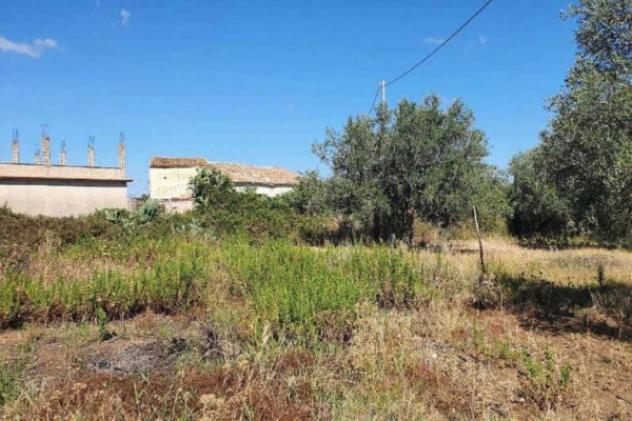 Immobile in asta di 4143 m² in vendita a Borgetto - Foto 5