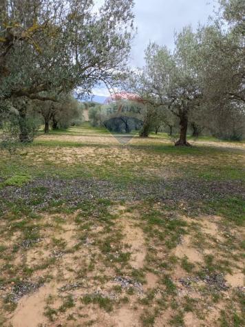 Terreno in vendita a Caltagirone, Santo Pietro - Foto 14