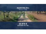 Immobile in asta di 8474 m² in vendita a Rizziconi