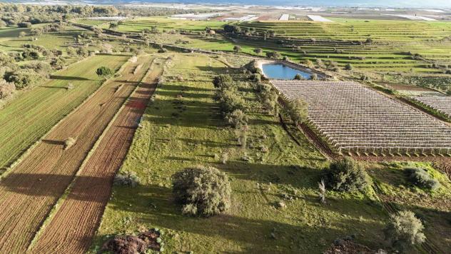 Terreno in vendita a Caltagirone - Foto 7