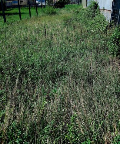 Appartamento in vendita a Capannoli 60 mq Rif: 1446038 - Foto 9