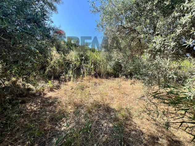 Terreno in vendita a Motta Sant'Anastasia - Foto 4