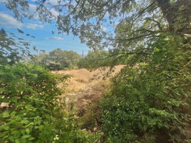 Immobile in asta di 16930 m² in vendita a Todi - Foto 7