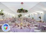 TENDONI TENDOSTRUTTURE COPERTURE TENDE PARTY A PREZZI IMBATTIBILI