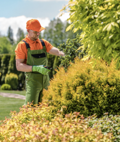 GIARDINIERE PER MANUTENZIONE VERDE MOGLIANO MARCON FAVARO - Foto 3