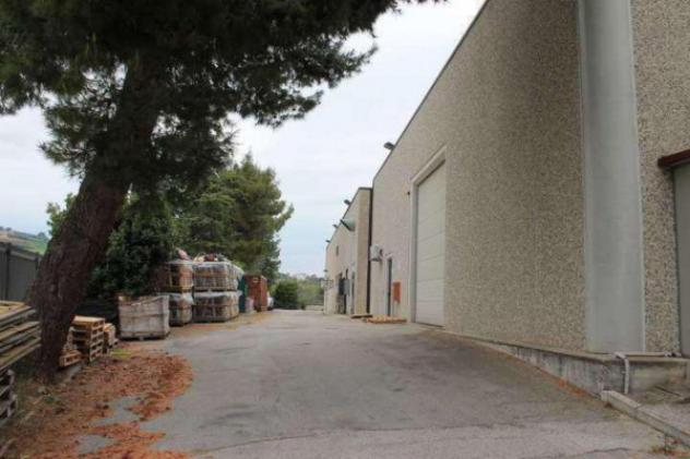 Immobile in asta di 4048 m² con più di 5 locali in vendita a Montegranaro - Foto 5