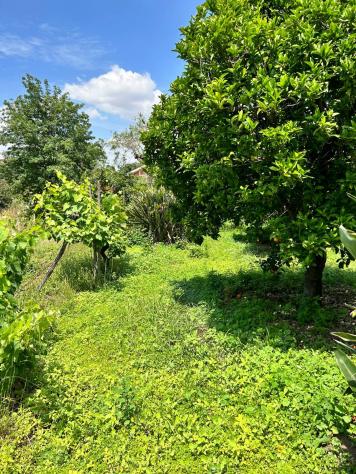 Terreno in vendita a Aci Sant'Antonio - Foto 5