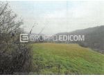 Terreno in vendita a Monastero Bormida - Rif. 4541702