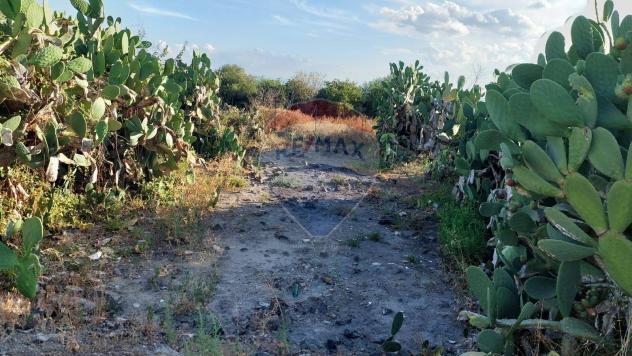 Terreno in vendita a Paternò - Foto 9