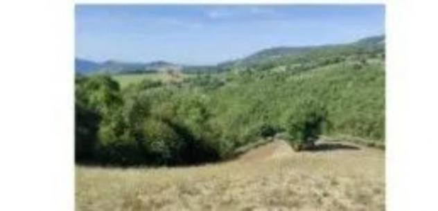 Immobile in asta di 13520 m² in vendita a Assisi - Foto 2