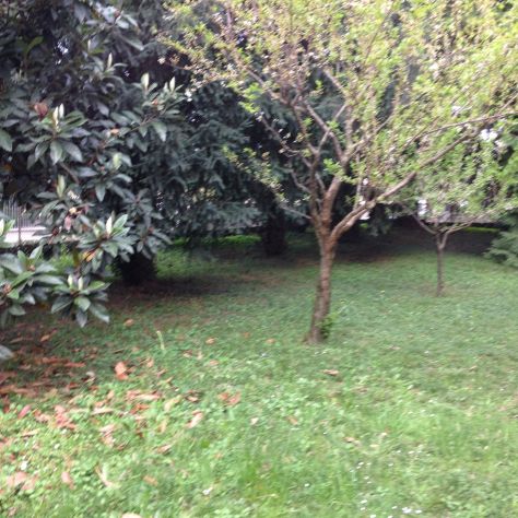 CASA SINGOLA - Foto 2