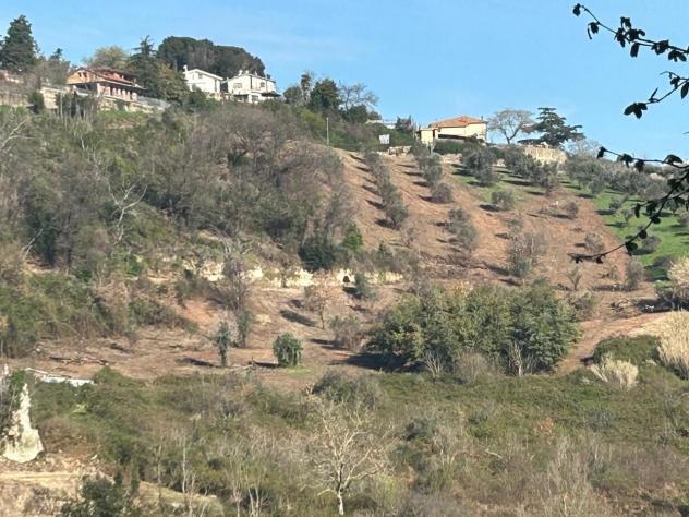 Uliveto in vendita a Morlupo - Foto 11