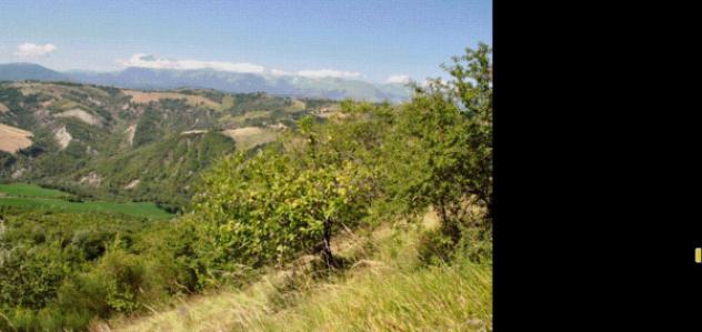 Immobile in asta di 378 m² in vendita a Venarotta - Foto 14