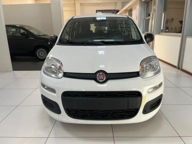 FIAT Pandina Pandina 1.0 firefly hybrid Icon - Foto 2
