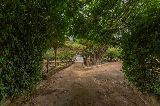 Casa Indipendente in vendita a Caltagirone - Foto 4