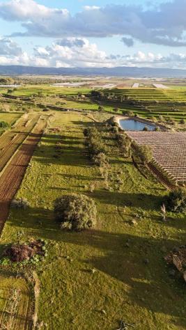 Terreno in vendita a Caltagirone - Foto 6