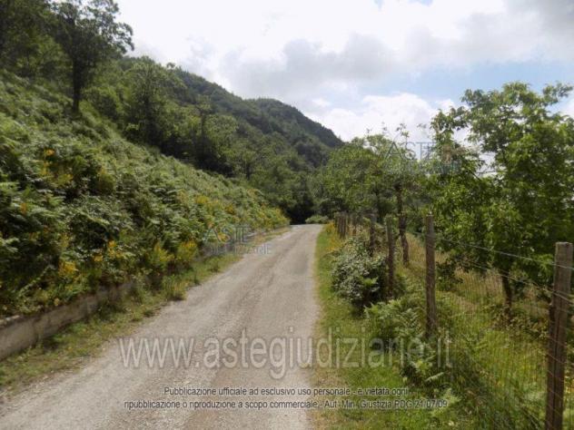 IMMOBILI-ALTRA CATEGORIA-calità San Totaro Valle del Cerasuolo - Foto 4