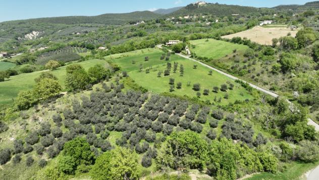Casale in vendita a Montecchio - Foto 9