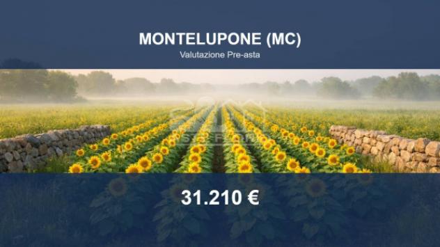 Immobile in asta di 24660 m² in vendita a Montelupone