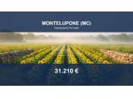 Immobile in asta di 24660 m² in vendita a Montelupone