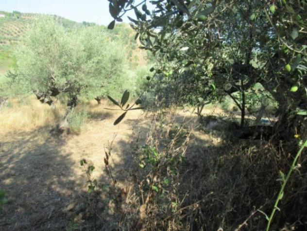 Immobile in asta di 2980 m² in vendita a Moscufo - Foto 4