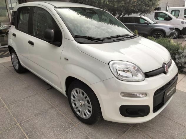 FIAT Pandina Pandina 1.0 FireFly Hybrid Icon S&S 65cv *PROMO AZZURRA* - Foto 3