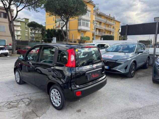 FIAT Panda 1.0 FireFly S&S Hybrid Easy rif. 23838031 - Foto 4