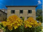 Villa in vendita a San Donato In Poggio - Barberino Tavarnelle 300 mq  Rif: &hellip;