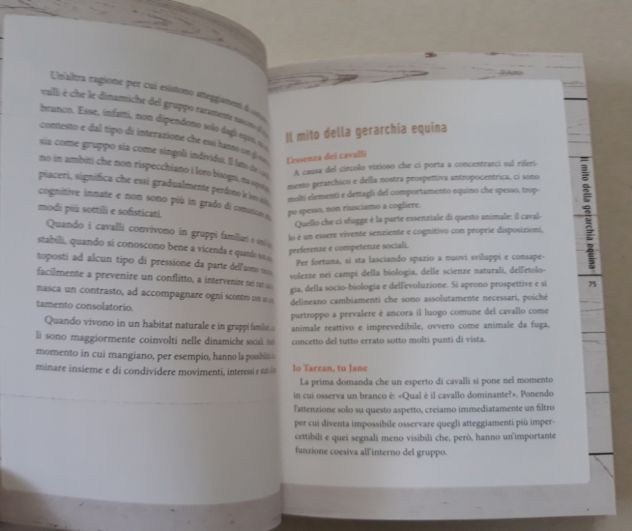 Comprendere il cavallo - Foto 7