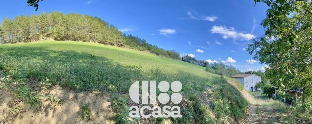 ABITAZIONE RURALE CON TERRENI AGRICOLI