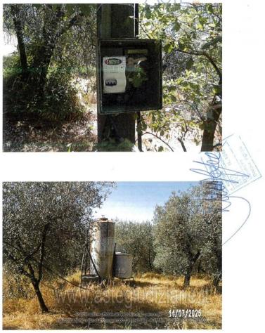 IMMOBILI-ALTRA CATEGORIA-Via di Capalle, 51035 Lamporecchio PT, Italia - Foto 3