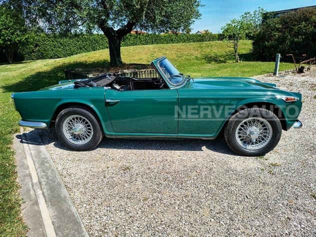 Triumph TR4 IRS Verde inglese | 1966 ASI Guida sinistra 2138 cc Ducati Bologna - Foto 3