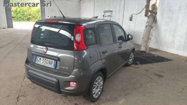 FIAT Panda Panda NEOPATENTATI 1.0 firefly hybrid TG : GM330N rif. 23811447 - Foto 5