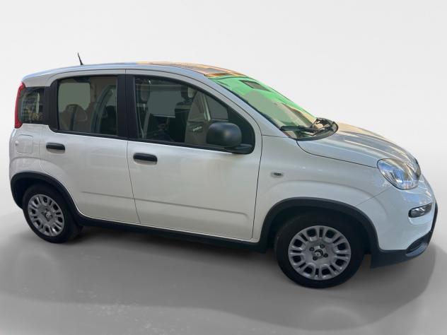 Fiat Panda 1.0 FireFly S&S Hybrid Pandina - Foto 7