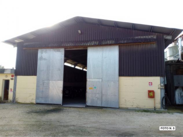 Immobile in asta di 11410 m² con più di 5 locali in vendita a Amelia - Foto 5
