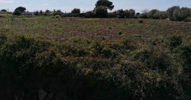 Immobile in asta di 591 m² in vendita a Siracusa - Foto 17