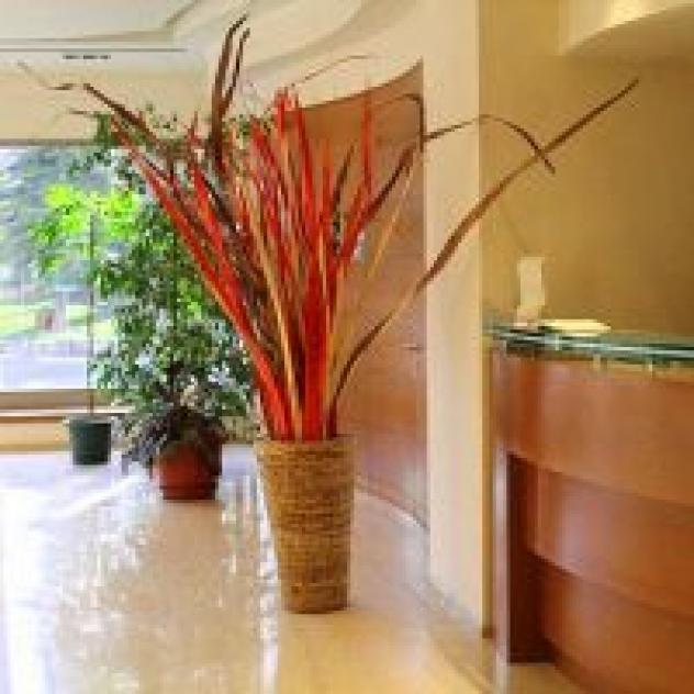 Hotelgest
