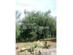 Terreno di 2450 mq  in vendita a Belmonte Mezzagno - Rif. 4557341