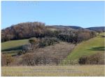 IMMOBILI-ALTRA CATEGORIA-Località Bosco Coldellanoce, 60041 Sassoferrato AN &hellip;