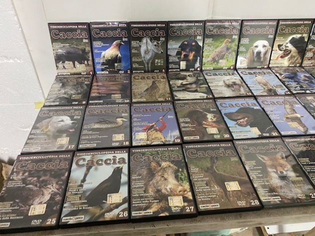 DVD filmati di azione di caccia - Foto 8