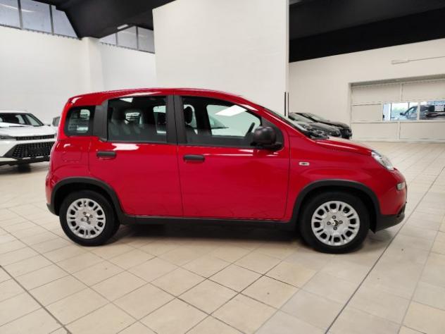 FIAT Panda 1.0 FireFly S&S Hybrid rif. 21725784 - Foto 4