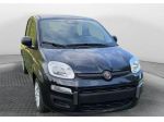 FIAT Panda 1.0 FireFly 70cv S&S Hybrid Pandina
