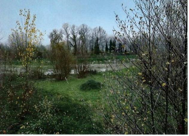 Immobile in asta di 70800 m² in vendita a Orte - Foto 9