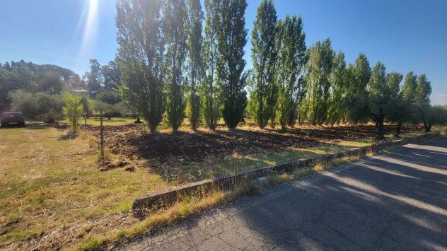 TERRENO AGRICOLO RIF. T1/2494 - Foto 6