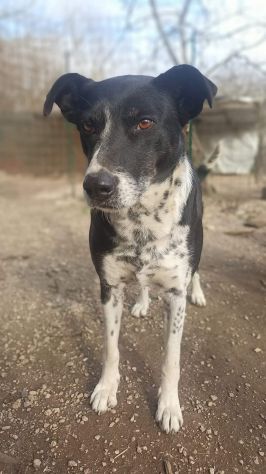 Kika - Foto 2