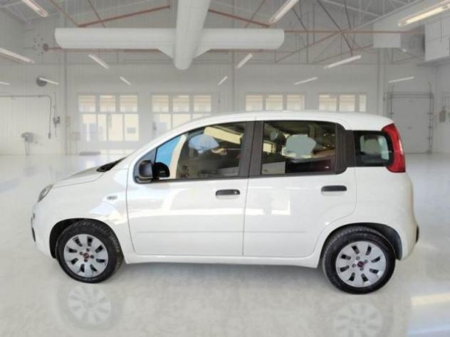 FIAT Panda 1.2 Pop rif. 23795278 - Foto 8