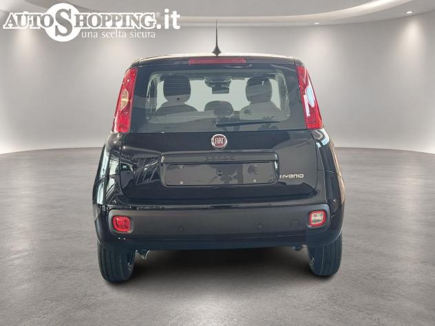 FIAT Pandina Panda III 1.0 firefly hybrid Icon s&s 65cv 5p.ti - Foto 5